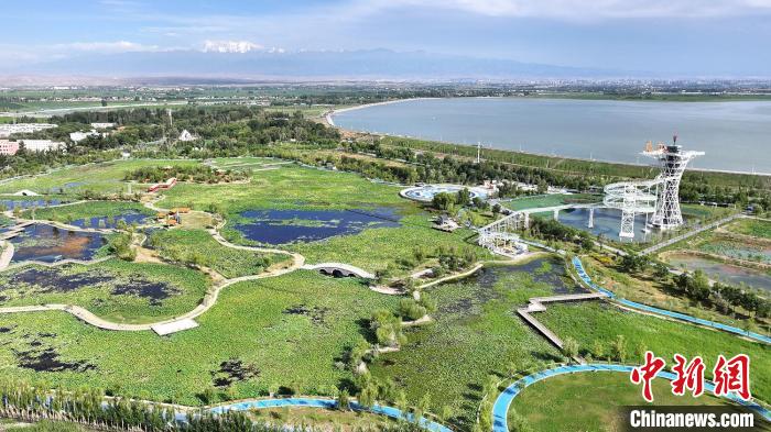 角子機：新疆五家渠市500余亩荷花陆续绽放迎客